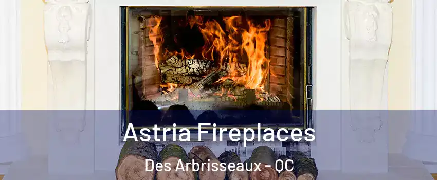  Astria Fireplaces Des Arbrisseaux - QC