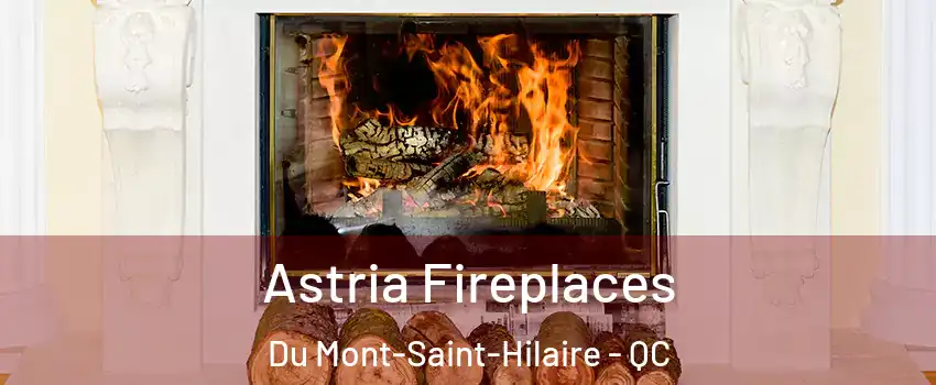  Astria Fireplaces Du Mont-Saint-Hilaire - QC