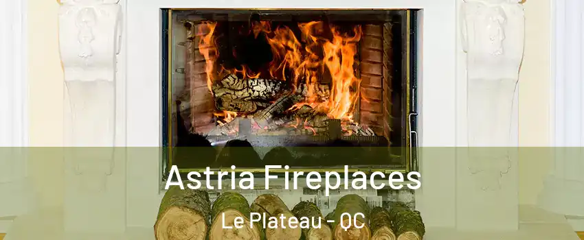  Astria Fireplaces Le Plateau - QC