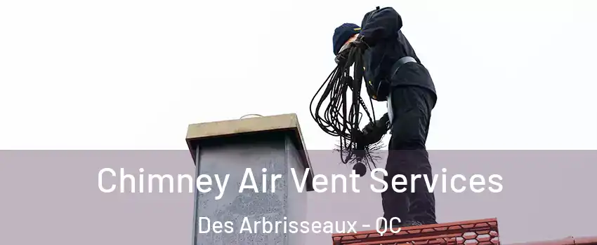  Chimney Air Vent Services Des Arbrisseaux - QC