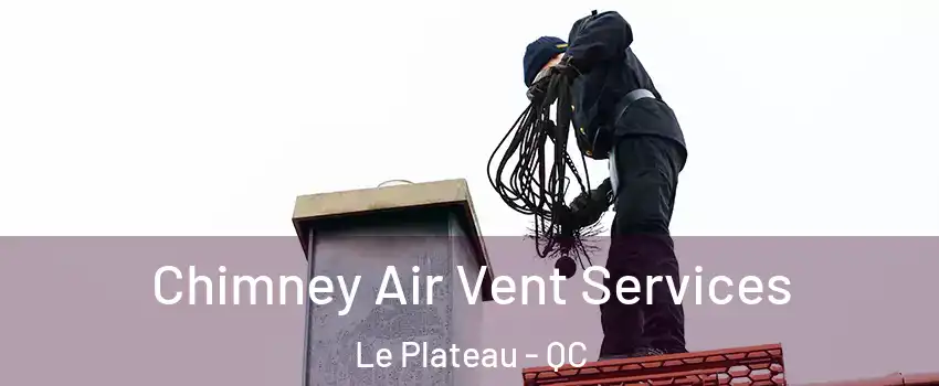  Chimney Air Vent Services Le Plateau - QC