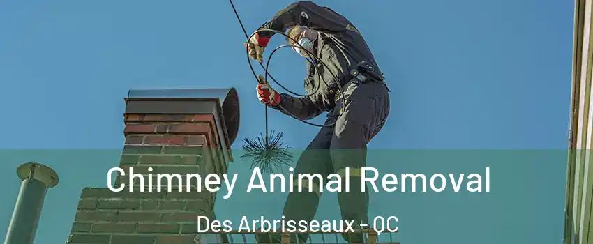  Chimney Animal Removal Des Arbrisseaux - QC