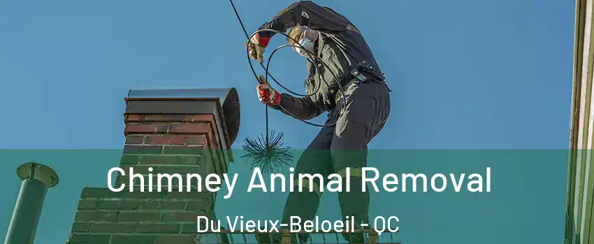  Chimney Animal Removal Du Vieux-Beloeil - QC