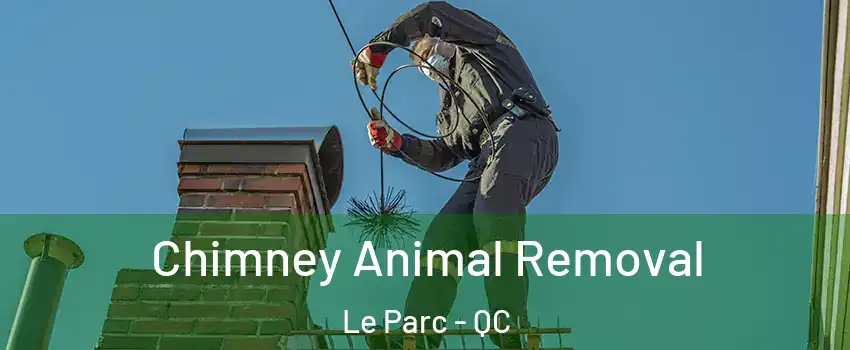  Chimney Animal Removal Le Parc - QC