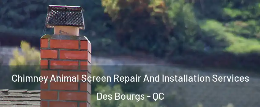  Chimney Animal Screen Repair And Installation Services Des Bourgs - QC