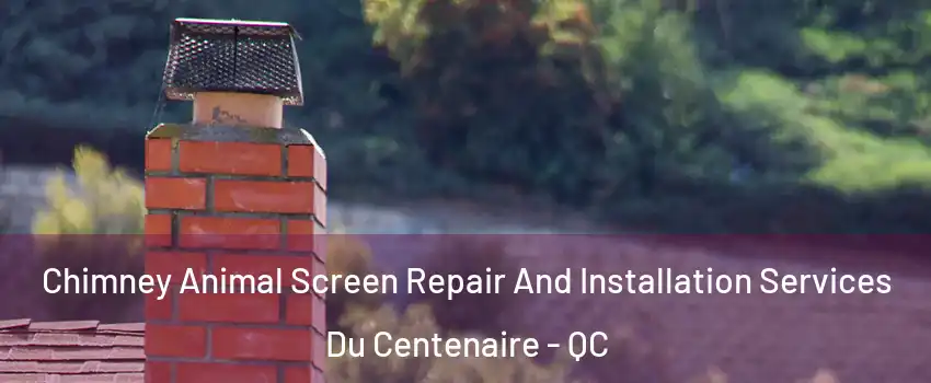  Chimney Animal Screen Repair And Installation Services Du Centenaire - QC