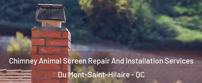  Chimney Animal Screen Repair And Installation Services Du Mont-Saint-Hilaire - QC