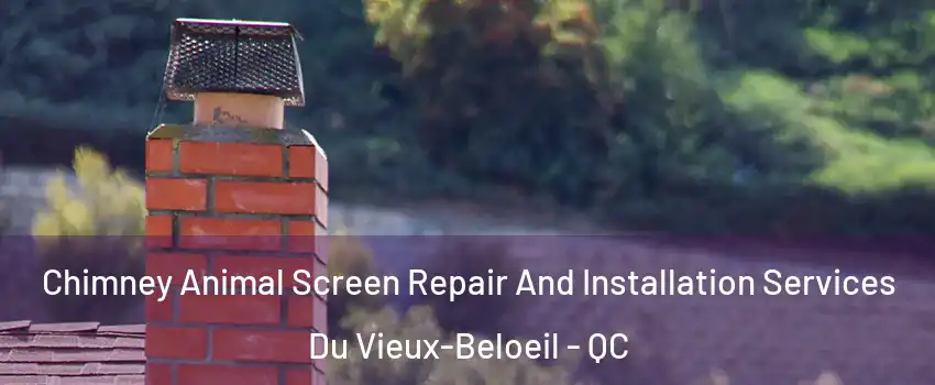  Chimney Animal Screen Repair And Installation Services Du Vieux-Beloeil - QC