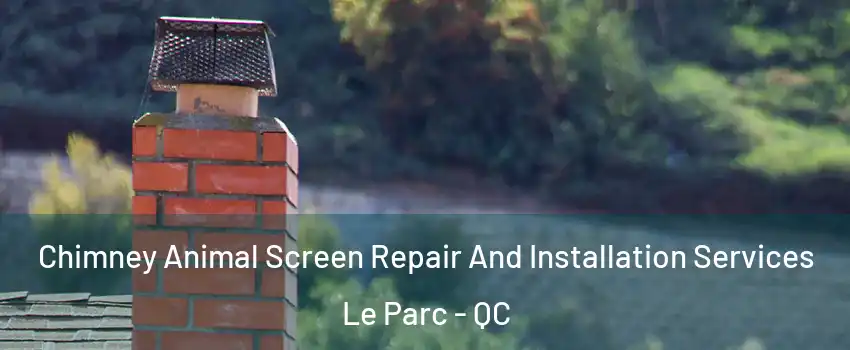  Chimney Animal Screen Repair And Installation Services Le Parc - QC