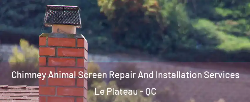  Chimney Animal Screen Repair And Installation Services Le Plateau - QC