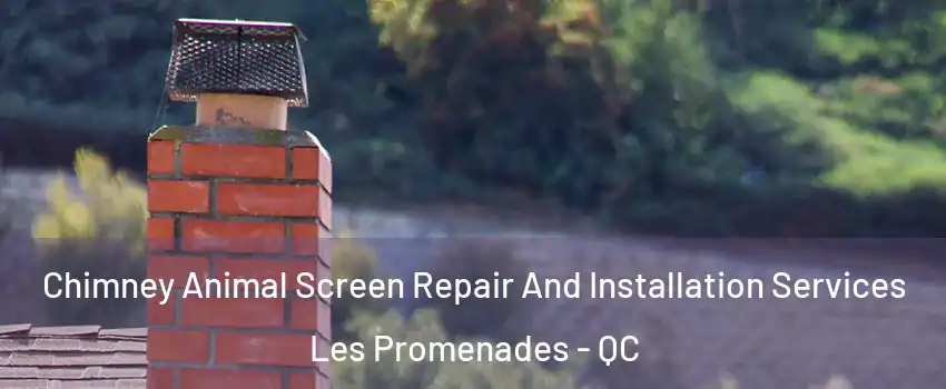  Chimney Animal Screen Repair And Installation Services Les Promenades - QC
