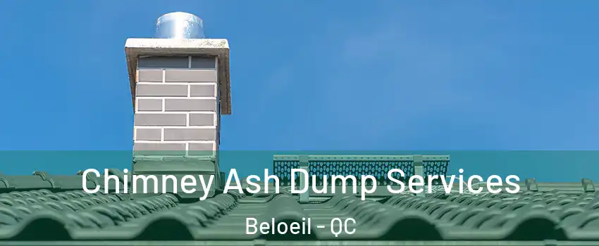  Chimney Ash Dump Services Beloeil - QC