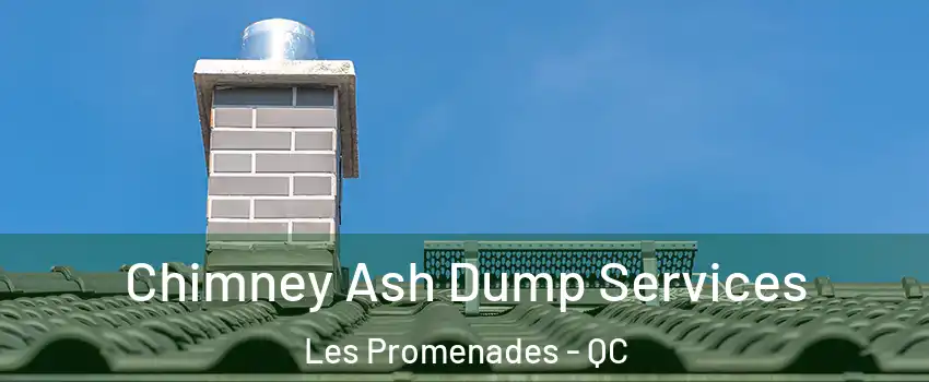  Chimney Ash Dump Services Les Promenades - QC