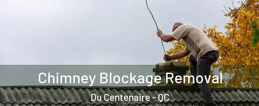  Chimney Blockage Removal Du Centenaire - QC