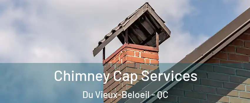  Chimney Cap Services Du Vieux-Beloeil - QC