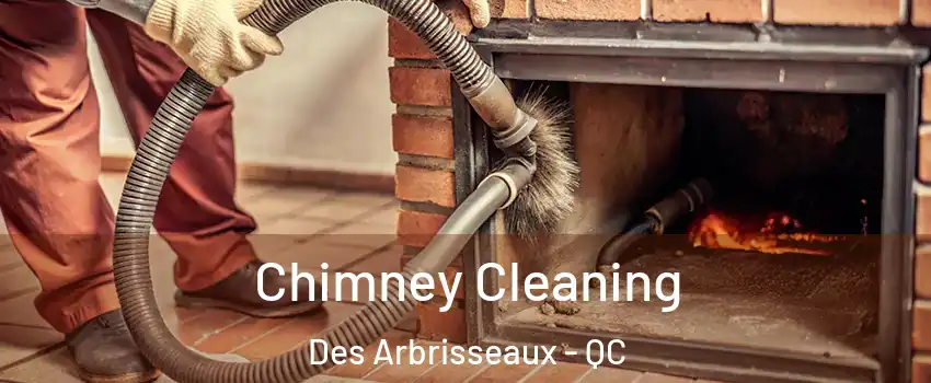  Chimney Cleaning Des Arbrisseaux - QC