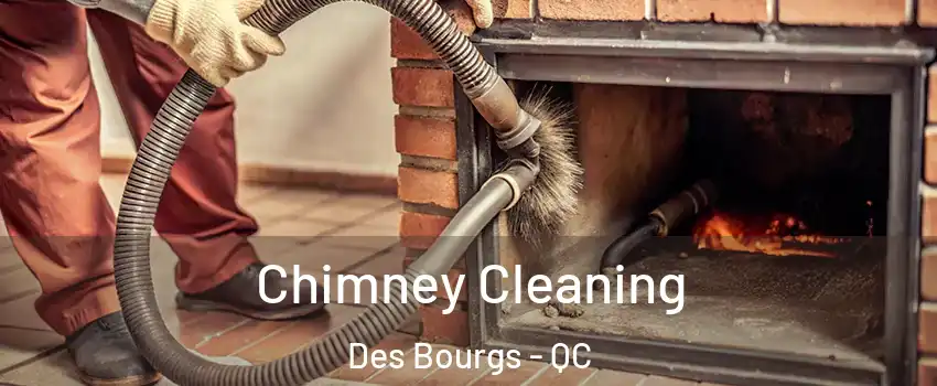  Chimney Cleaning Des Bourgs - QC