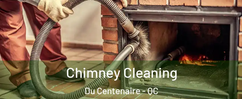  Chimney Cleaning Du Centenaire - QC