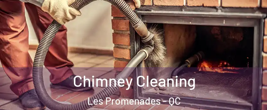  Chimney Cleaning Les Promenades - QC