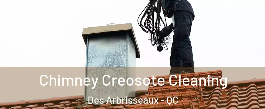  Chimney Creosote Cleaning Des Arbrisseaux - QC