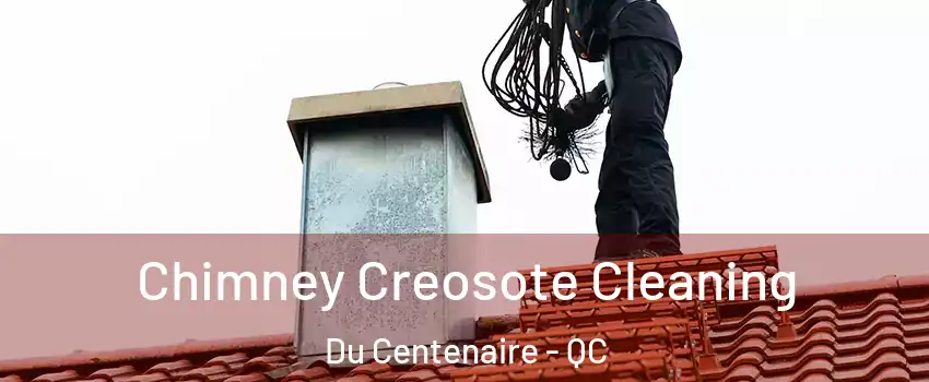  Chimney Creosote Cleaning Du Centenaire - QC