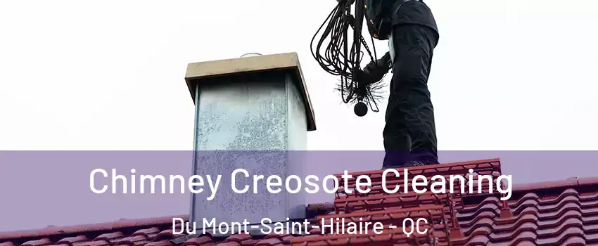  Chimney Creosote Cleaning Du Mont-Saint-Hilaire - QC