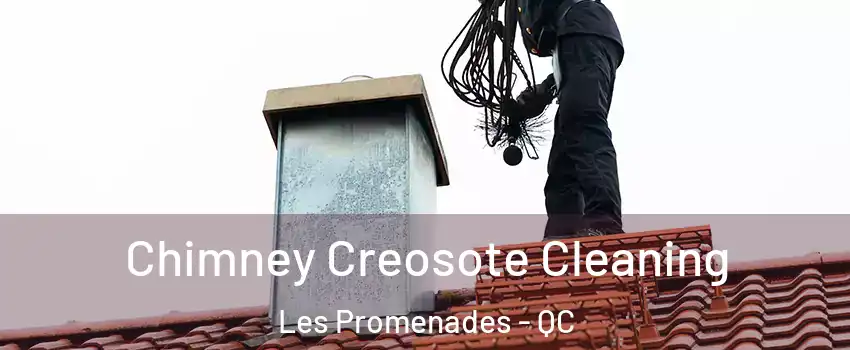  Chimney Creosote Cleaning Les Promenades - QC