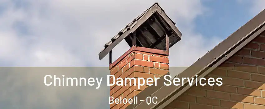  Chimney Damper Services Beloeil - QC