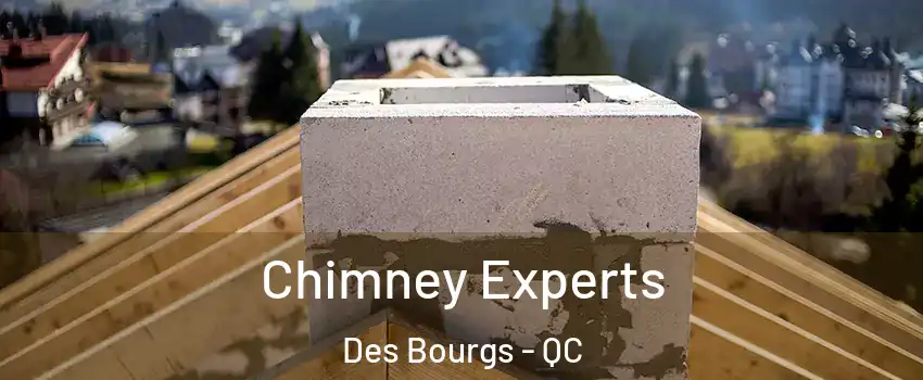  Chimney Experts Des Bourgs - QC