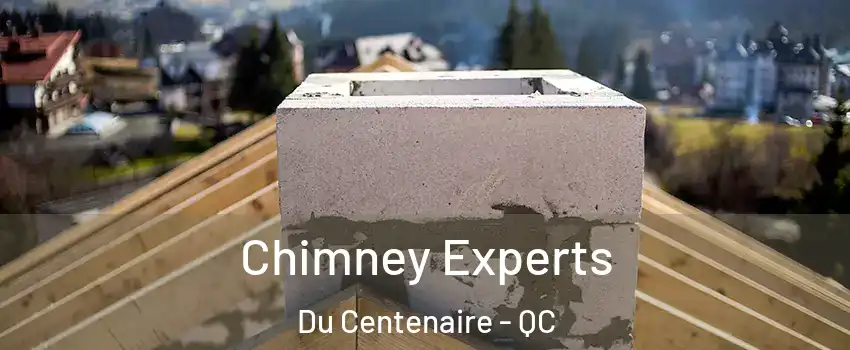  Chimney Experts Du Centenaire - QC