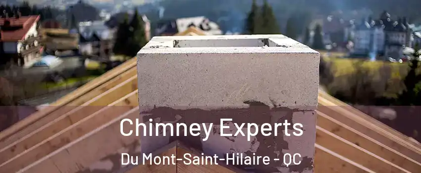  Chimney Experts Du Mont-Saint-Hilaire - QC