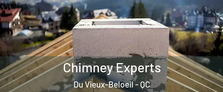  Chimney Experts Du Vieux-Beloeil - QC