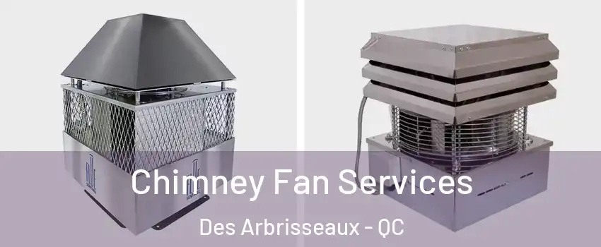  Chimney Fan Services Des Arbrisseaux - QC