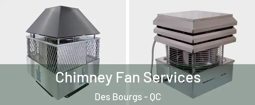  Chimney Fan Services Des Bourgs - QC