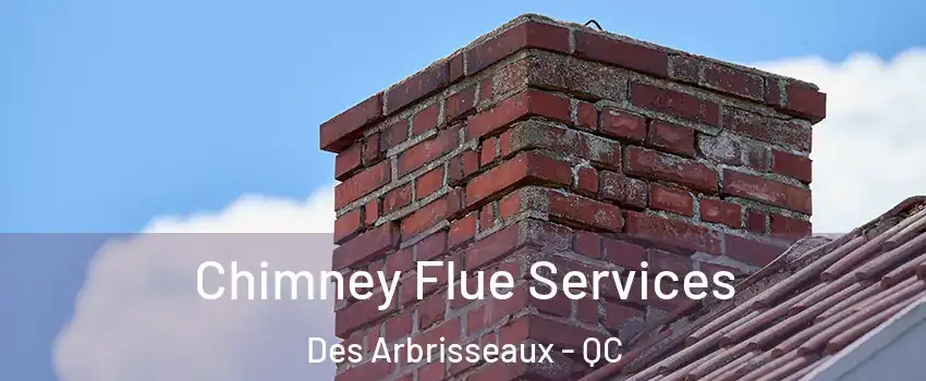  Chimney Flue Services Des Arbrisseaux - QC