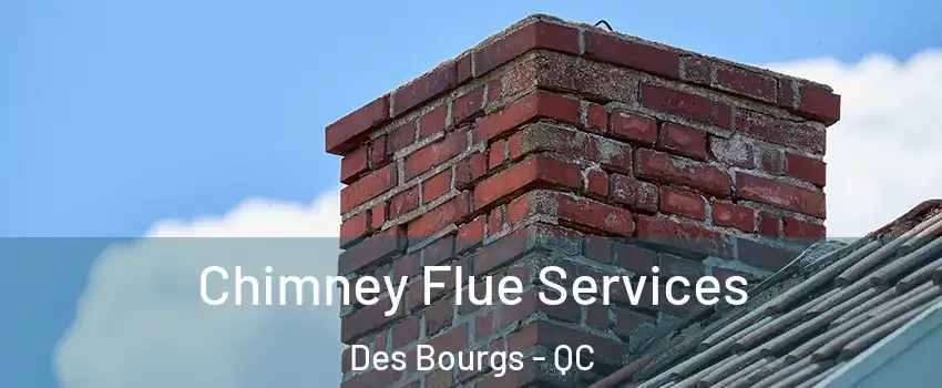  Chimney Flue Services Des Bourgs - QC