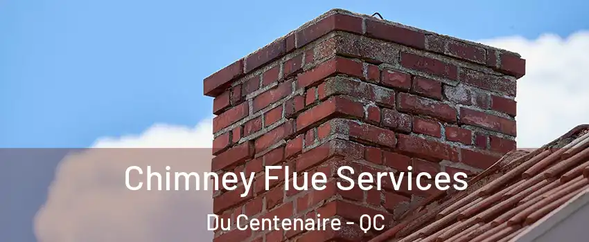  Chimney Flue Services Du Centenaire - QC