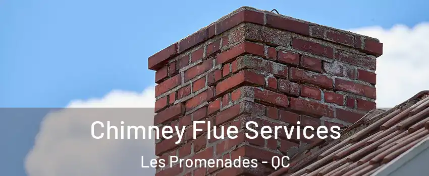  Chimney Flue Services Les Promenades - QC