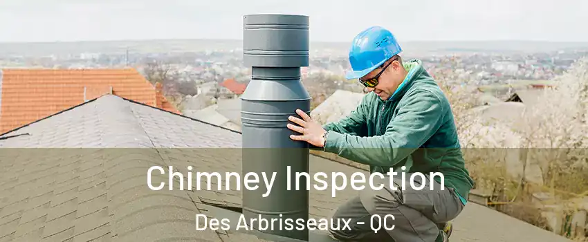  Chimney Inspection Des Arbrisseaux - QC