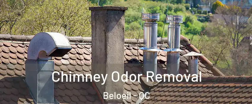  Chimney Odor Removal Beloeil - QC