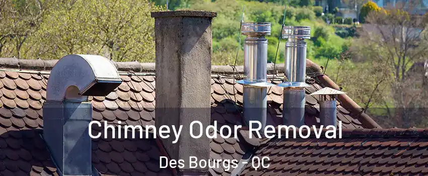  Chimney Odor Removal Des Bourgs - QC
