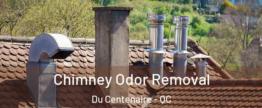  Chimney Odor Removal Du Centenaire - QC