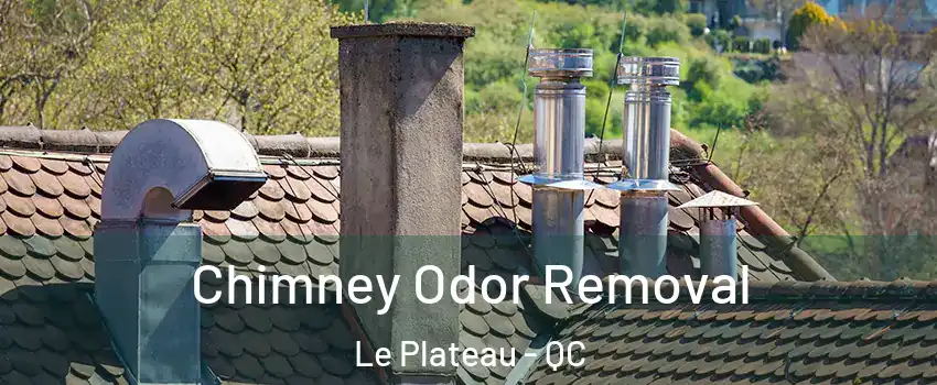  Chimney Odor Removal Le Plateau - QC