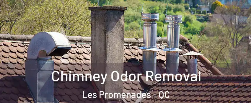  Chimney Odor Removal Les Promenades - QC