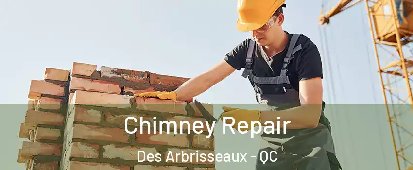  Chimney Repair Des Arbrisseaux - QC