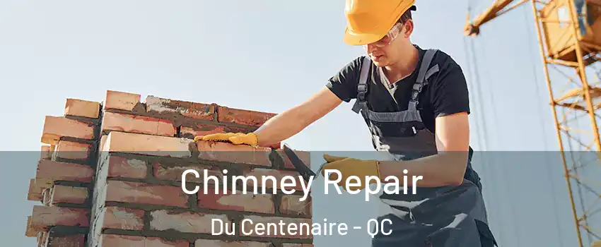  Chimney Repair Du Centenaire - QC