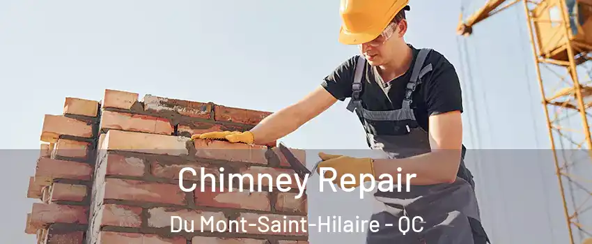  Chimney Repair Du Mont-Saint-Hilaire - QC