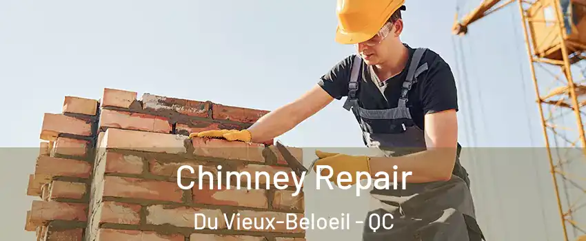  Chimney Repair Du Vieux-Beloeil - QC