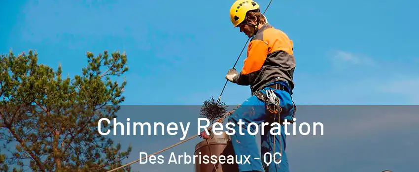  Chimney Restoration Des Arbrisseaux - QC