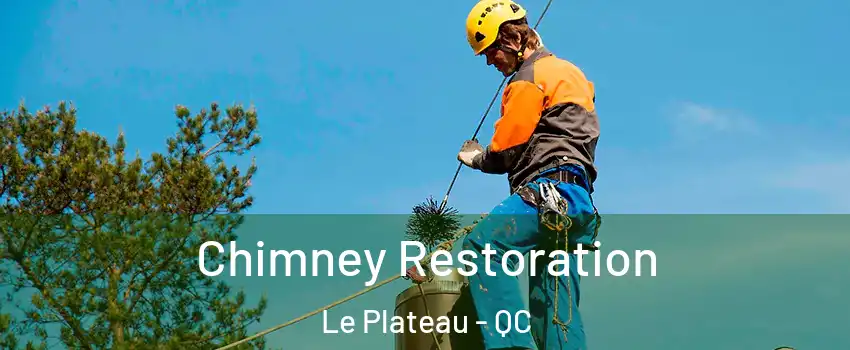  Chimney Restoration Le Plateau - QC